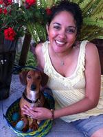 Peanut miniature Dashshund rescue